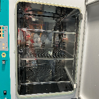 Thermo Scientific BBD 6220 CO2 Incubator image 3